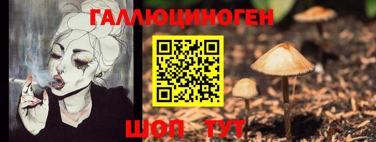 Галлюциногенные грибы ЛСД  Вход с VPN  Кумертау  Галлюциногенные грибы GOLDEN TEACHER 